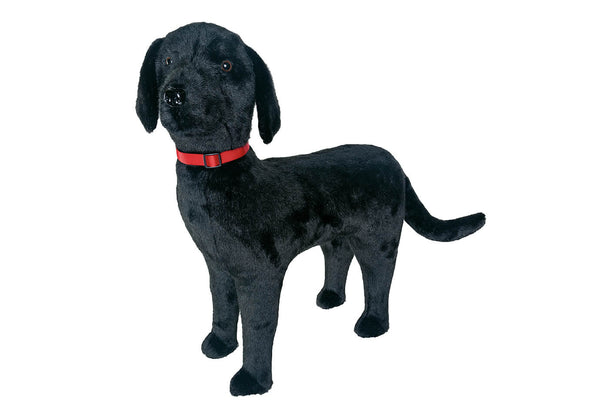 Perro Negro Parado en Cuatro Patas – 65 cm